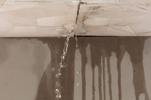 Professional Structural Drying technician working in Clare, MI